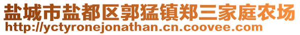 盐城市盐都区郭猛镇郑三家庭农场