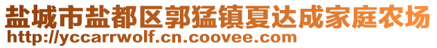 盐城市盐都区郭猛镇夏达成家庭农场