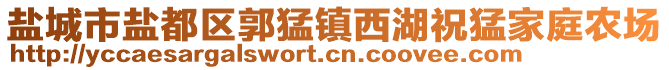 鹽城市鹽都區(qū)郭猛鎮(zhèn)西湖祝猛家庭農(nóng)場