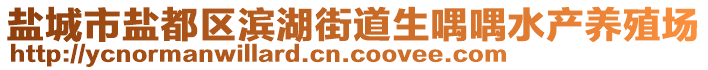 鹽城市鹽都區(qū)濱湖街道生喁喁水產(chǎn)養(yǎng)殖場(chǎng)
