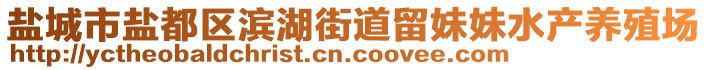 鹽城市鹽都區(qū)濱湖街道留妹妹水產(chǎn)養(yǎng)殖場