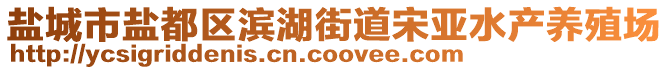 鹽城市鹽都區(qū)濱湖街道宋亞水產(chǎn)養(yǎng)殖場(chǎng)