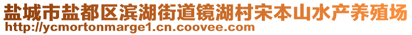 鹽城市鹽都區濱湖街道鏡湖村宋本山水產養殖場
