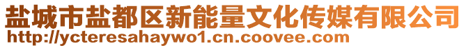 鹽城市鹽都區新能量文化傳媒有限公司