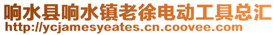 響水縣響水鎮(zhèn)老徐電動(dòng)工具總匯