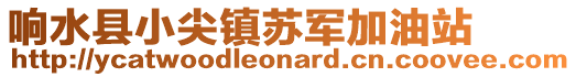 響水縣小尖鎮蘇軍加油站