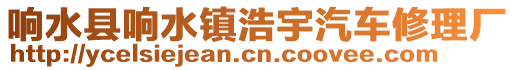 響水縣響水鎮(zhèn)浩宇汽車修理廠