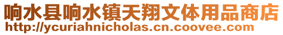 響水縣響水鎮(zhèn)天翔文體用品商店