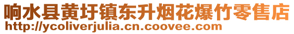 響水縣黃圩鎮(zhèn)東升煙花爆竹零售店