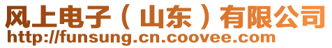 風(fēng)上電子（山東）有限公司