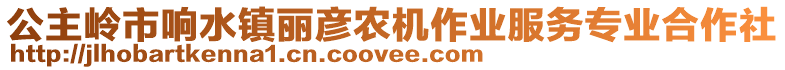 公主嶺市響水鎮(zhèn)麗彥農(nóng)機(jī)作業(yè)服務(wù)專業(yè)合作社