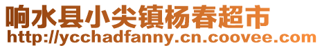 響水縣小尖鎮(zhèn)楊春超市