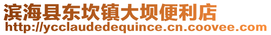濱海縣東坎鎮大壩便利店