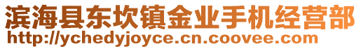 濱?？h東坎鎮(zhèn)金業(yè)手機經營部