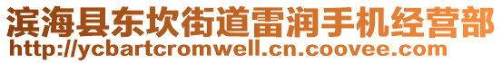 濱海縣東坎街道雷潤手機經營部