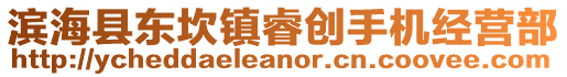 濱海縣東坎鎮(zhèn)睿創(chuàng)手機(jī)經(jīng)營部