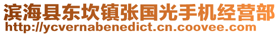 濱海縣東坎鎮張國光手機經營部