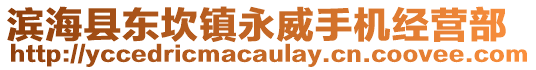 濱海縣東坎鎮(zhèn)永威手機(jī)經(jīng)營(yíng)部