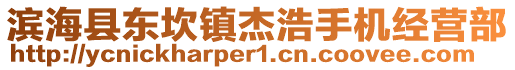 濱?？h東坎鎮(zhèn)杰浩手機經(jīng)營部