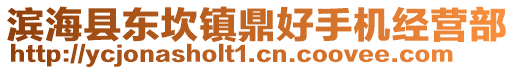 濱海縣東坎鎮鼎好手機經營部