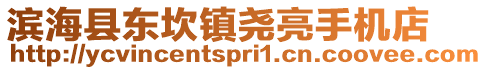 濱海縣東坎鎮(zhèn)堯亮手機(jī)店