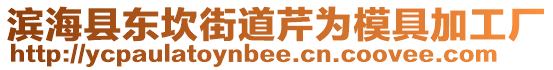 濱海縣東坎街道芹為模具加工廠