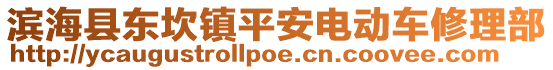 濱?？h東坎鎮(zhèn)平安電動(dòng)車修理部