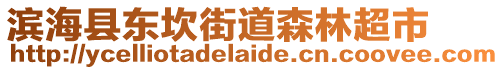 濱海縣東坎街道森林超市