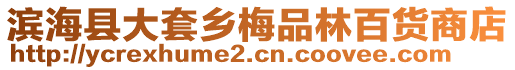 濱海縣大套鄉梅品林百貨商店