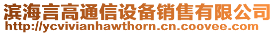 濱海言高通信設備銷售有限公司