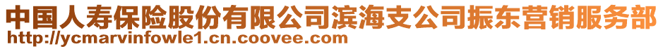中國人壽保險股份有限公司濱海支公司振東營銷服務(wù)部