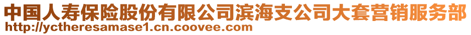 中國人壽保險股份有限公司濱海支公司大套營銷服務部