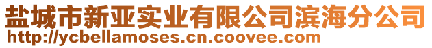 鹽城市新亞實(shí)業(yè)有限公司濱海分公司