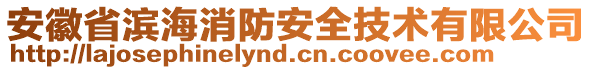 安徽省濱海消防安全技術(shù)有限公司