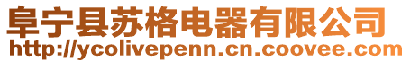 阜宁县苏格电器有限公司
