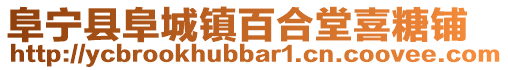 阜寧縣阜城鎮百合堂喜糖鋪