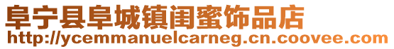 阜寧縣阜城鎮(zhèn)閨蜜飾品店