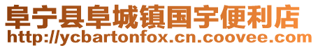 阜寧縣阜城鎮國宇便利店