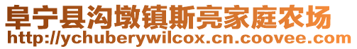 阜寧縣溝墩鎮斯亮家庭農場