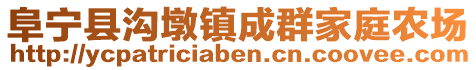 阜寧縣溝墩鎮成群家庭農場