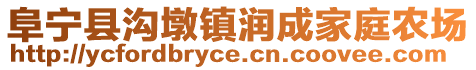 阜寧縣溝墩鎮潤成家庭農場
