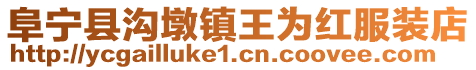 阜寧縣溝墩鎮王為紅服裝店