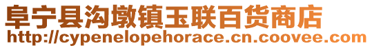阜寧縣溝墩鎮玉聯百貨商店