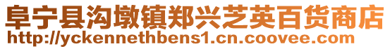 阜寧縣溝墩鎮(zhèn)鄭興芝英百貨商店