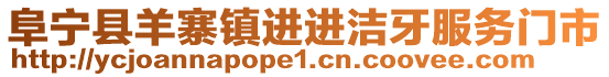 阜宁县羊寨镇进进洁牙服务门市