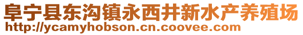 阜宁县东沟镇永西井新水产养殖场