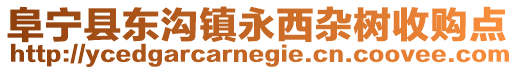 阜宁县东沟镇永西杂树收购点