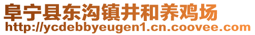 阜宁县东沟镇井和养鸡场