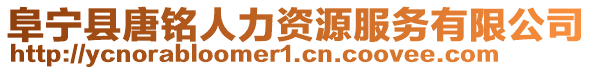 阜寧縣唐銘人力資源服務(wù)有限公司