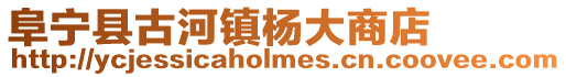 阜寧縣古河鎮楊大商店